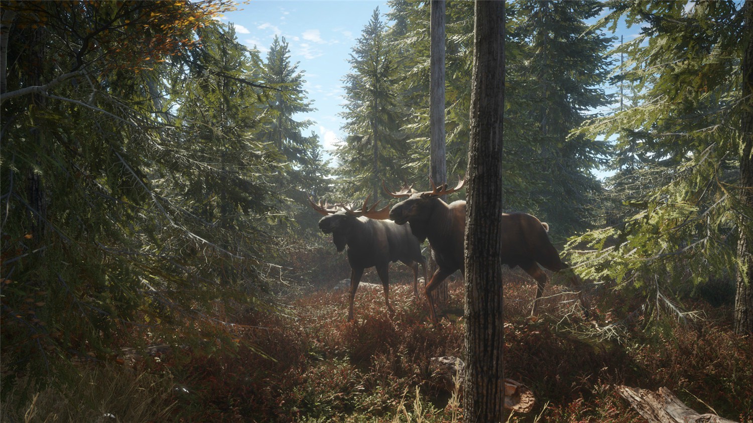 猎人:荒野的召唤,猎人:野性的呼唤,猎人荒野的召唤,the Hunter: Call of the Wild 猎人:荒野的召唤,猎人:野性的呼唤,猎人荒野的召唤,the Hunter: Call of the Wild