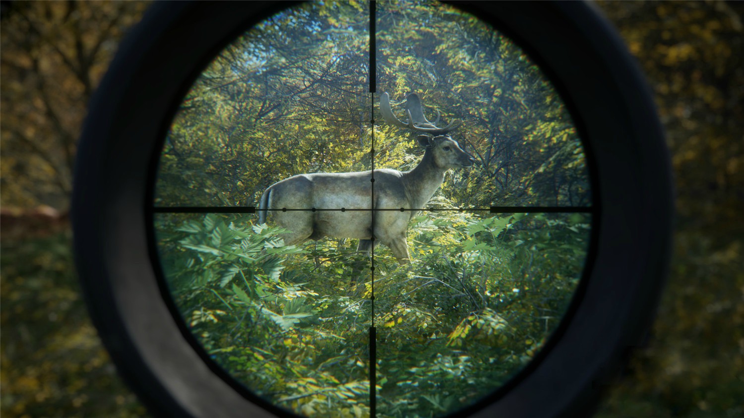 猎人:荒野的召唤,猎人:野性的呼唤,猎人荒野的召唤,the Hunter: Call of the Wild 猎人:荒野的召唤,猎人:野性的呼唤,猎人荒野的召唤,the Hunter: Call of the Wild