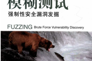 模糊测试强制性安全漏洞发掘PDF_黑客教程