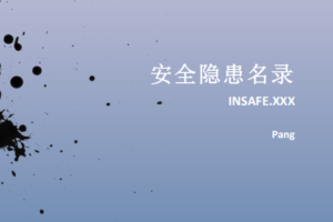 Web安全隐患名录PDF_黑客教程