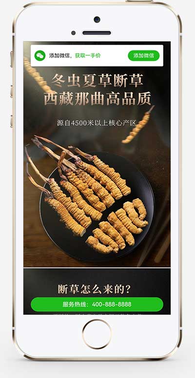 (独立手机版)营销推广落地页pbootcms模板落地页单页网站源码