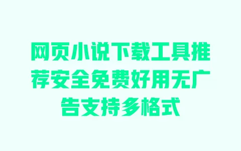 网页小说下载工具推荐安全免费好用无广告支持多格式