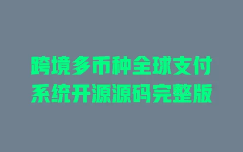 跨境多币种全球支付系统开源源码完整版