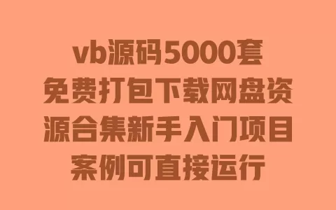 vb源码5000套免费打包下载网盘资源合集新手入门项目案例可直接运行