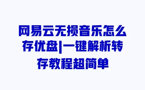 网易云无损音乐怎么存优盘|一键解析转存教程超简单